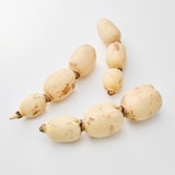 茨城県産　野口れんこんの「極上白れんこん」約２ｋｇ