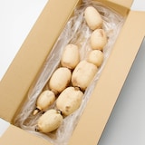 茨城県産　野口れんこんの「極上白れんこん」約２ｋｇ