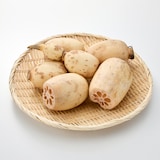 茨城県産　野口れんこんの「極上白れんこん」家庭用・約２ｋｇ