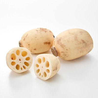 茨城県産　野口れんこんの「極上白れんこん」家庭用・約２ｋｇ