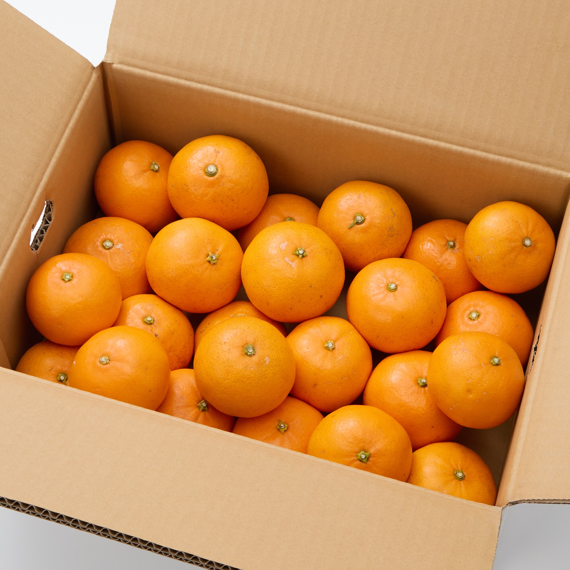 愛媛県産　無茶々園の「せとか」サイズ混合・約３ｋｇ													