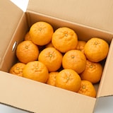 愛媛県産　田縁農園の「不知火」約３ｋｇ