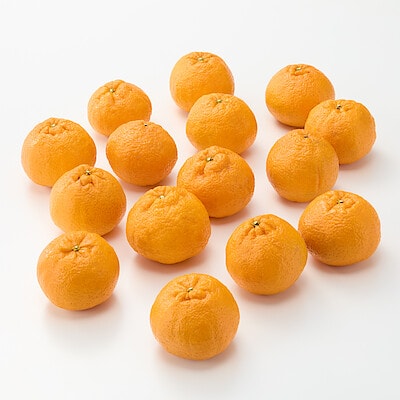 愛媛県産　田縁農園の「不知火」約３ｋｇ