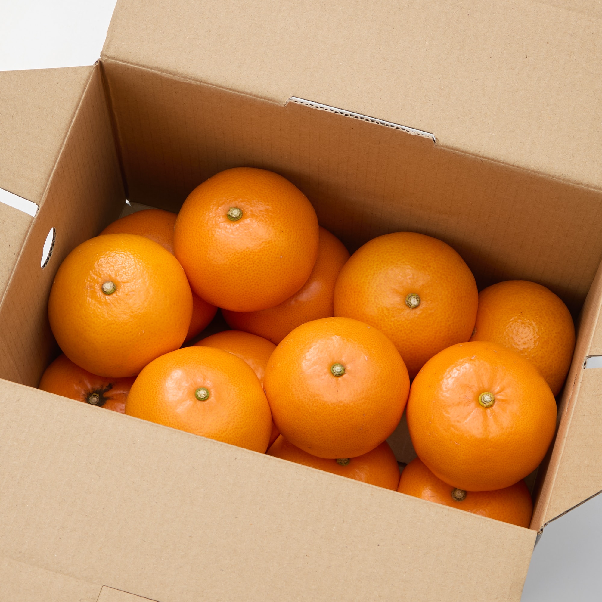 愛媛県産　田縁農園の「せとか」約２ｋｇ