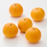 愛媛県産　田縁農園の「清見」約３ｋｇ