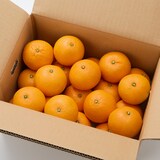 愛媛県産　田縁農園の「清見」約３ｋｇ