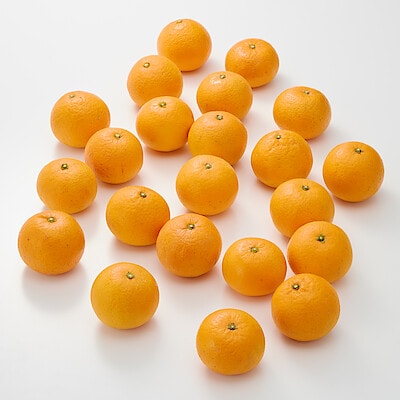 愛媛県産　田縁農園の「清見」約３ｋｇ