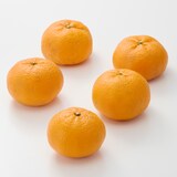 山口県産　周防大島にいうち農園の柑橘「せとみ」　家庭用 サイズ混合　約３ｋｇ