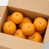 山口県産　周防大島にいうち農園の柑橘「せとみ」　家庭用 サイズ混合　約３ｋｇ