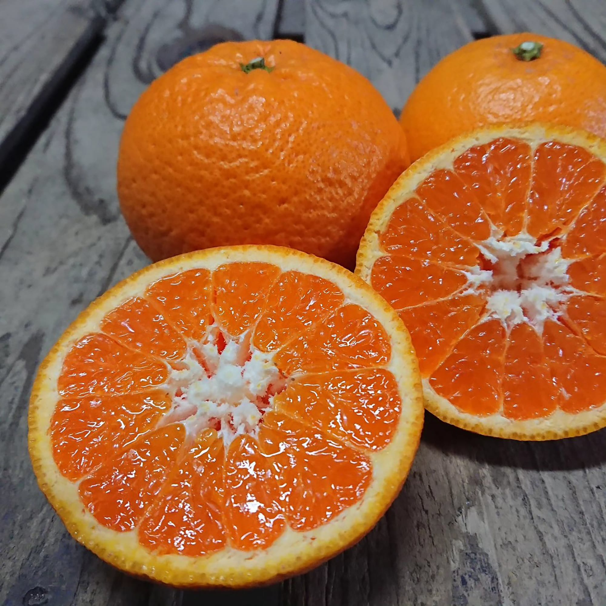 山口県産　周防大島にいうち農園の柑橘「せとみ」約３ｋｇ