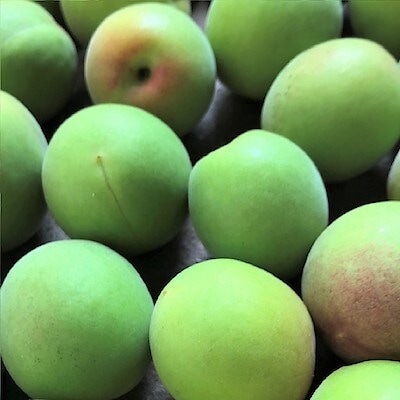 【冷凍便】埼玉県産 山口農園の「べに梅」１ｋｇ（M～３L混合)