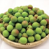 【小梅】パンドラファームの梅「小梅」１ｋｇ