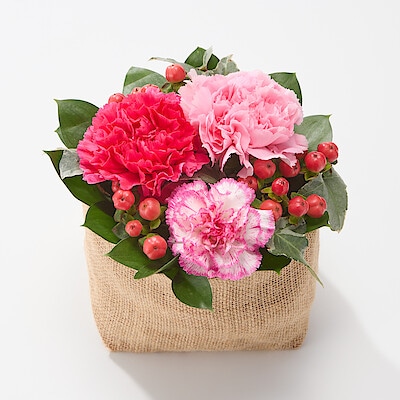 母の日　カーネーションのアレンジ　ピンク