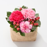 母の日　カーネーションのアレンジ　ピンク