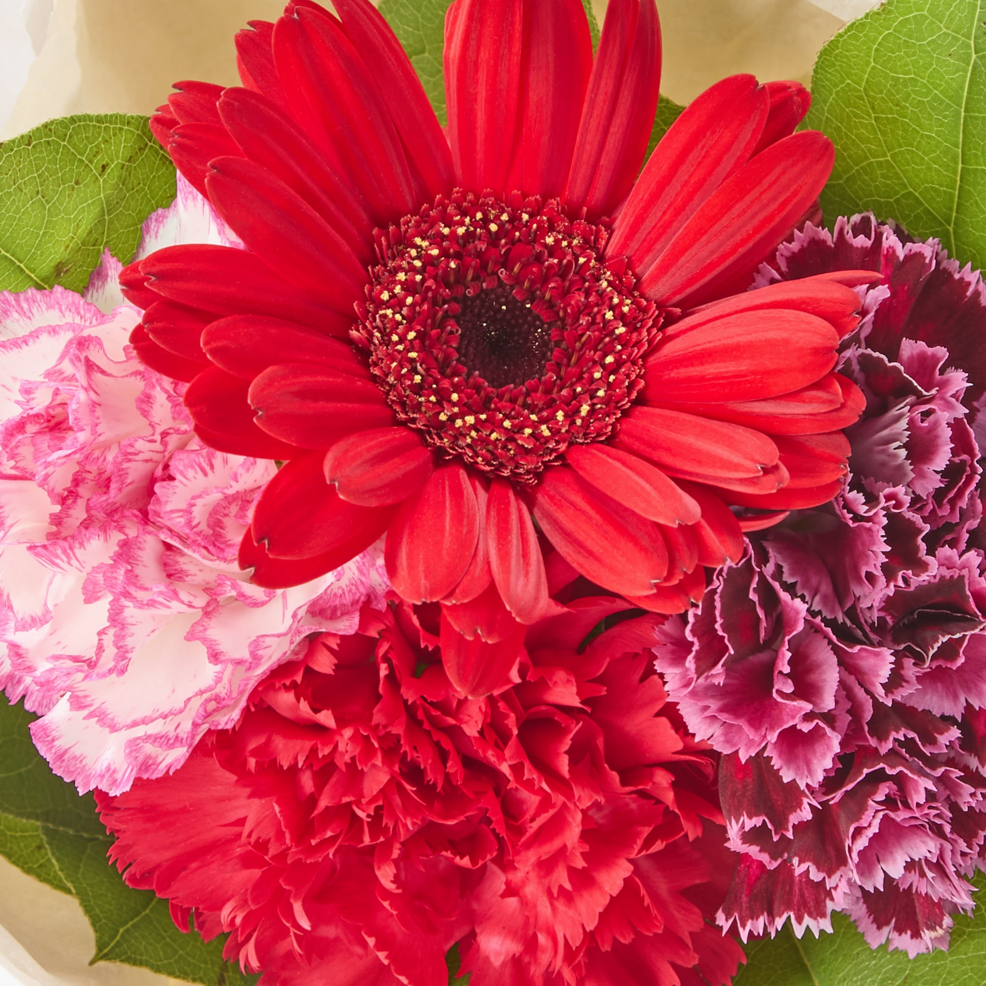 母の日　カーネーションのブーケ　赤