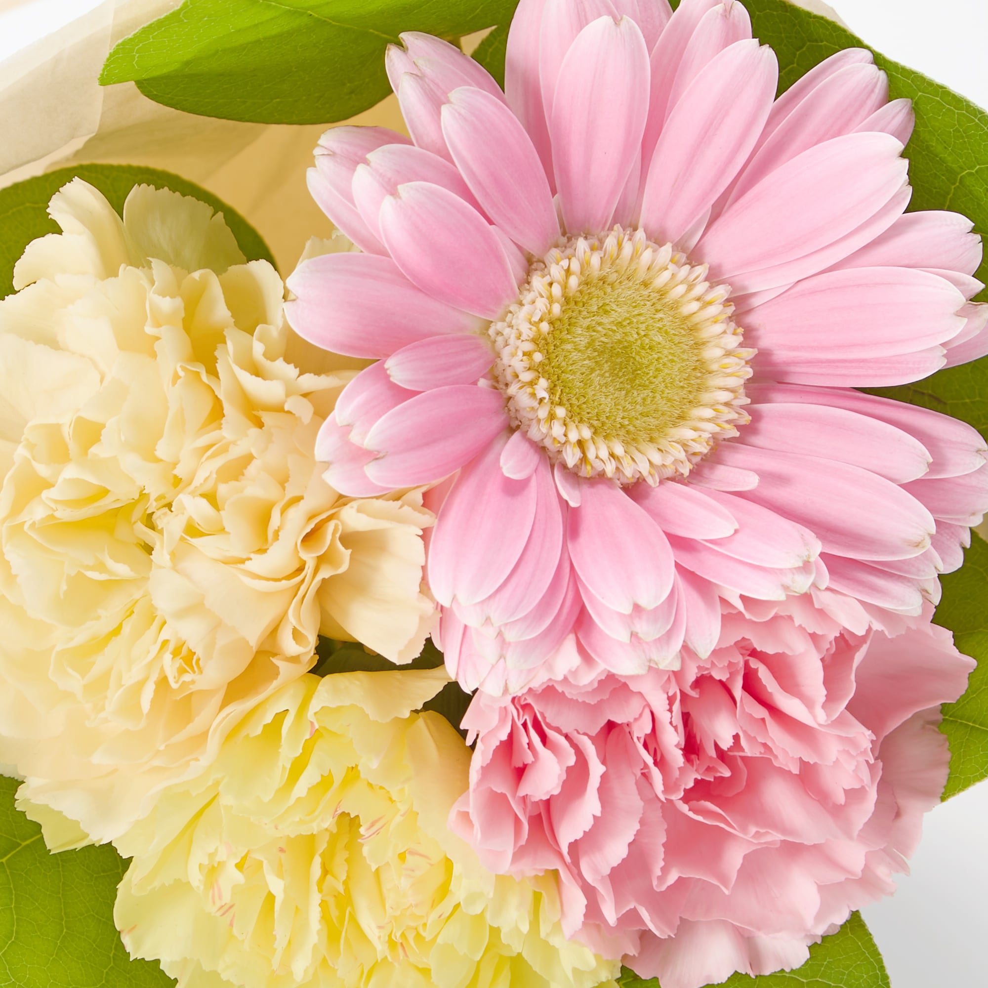 母の日　カーネーションのブーケ　ミックス