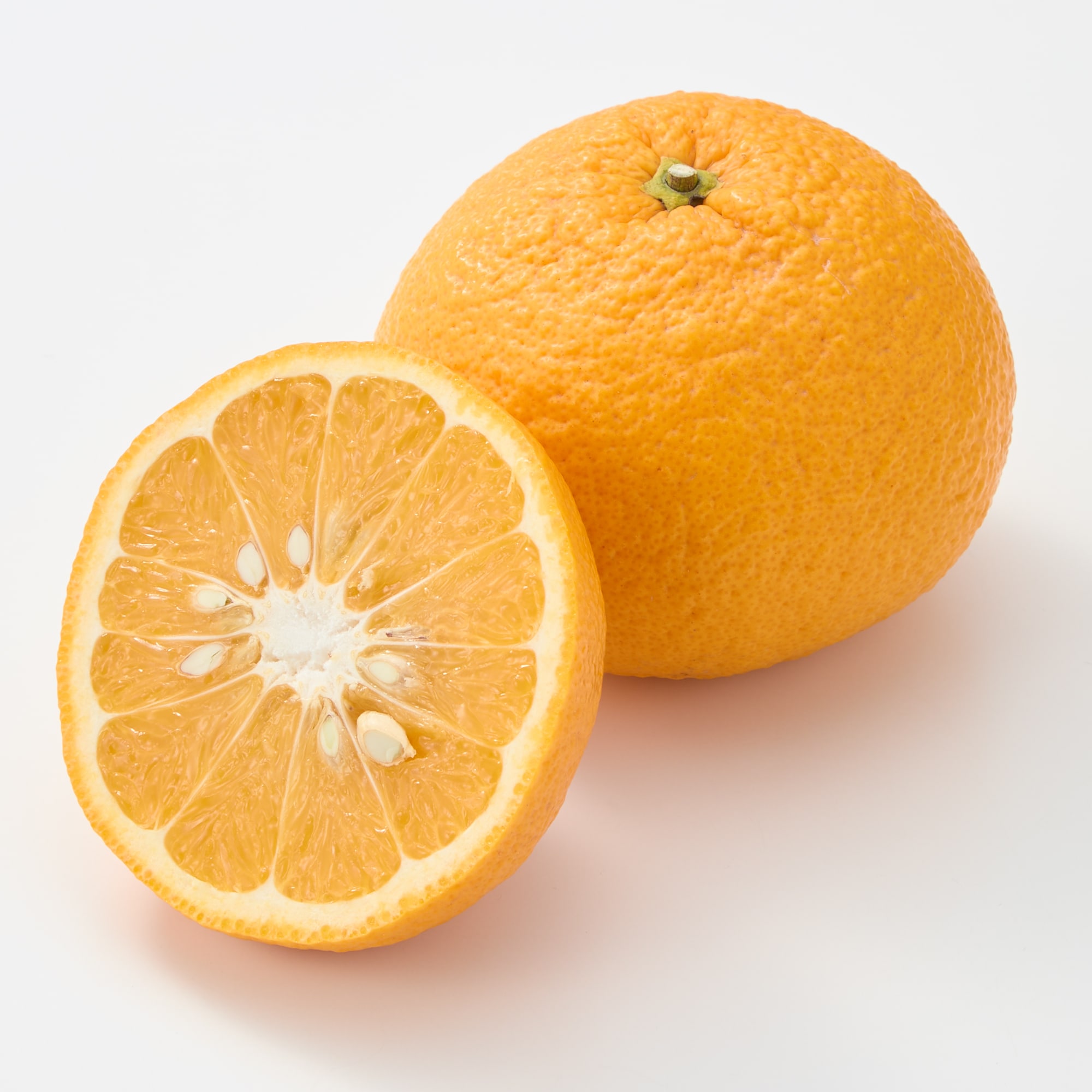 愛知県刈谷市　小林農園の「甘夏」２．５ｋｇ