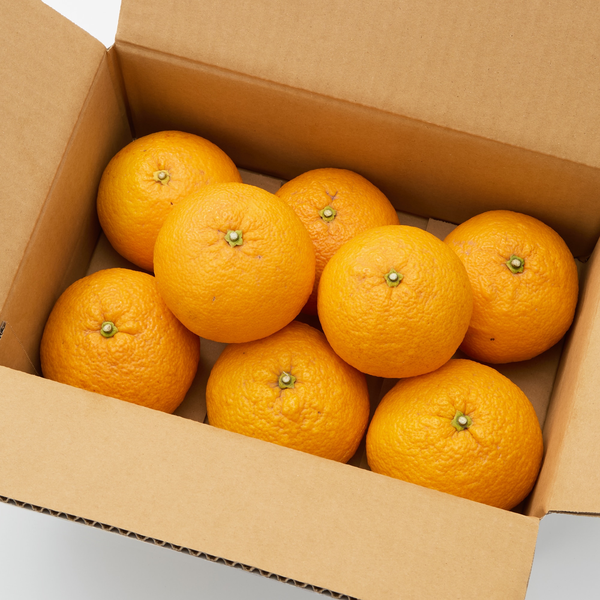 愛知県刈谷市　小林農園の「甘夏」２．５ｋｇ