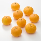 愛知県刈谷市　小林農園の「甘夏」２．５ｋｇ