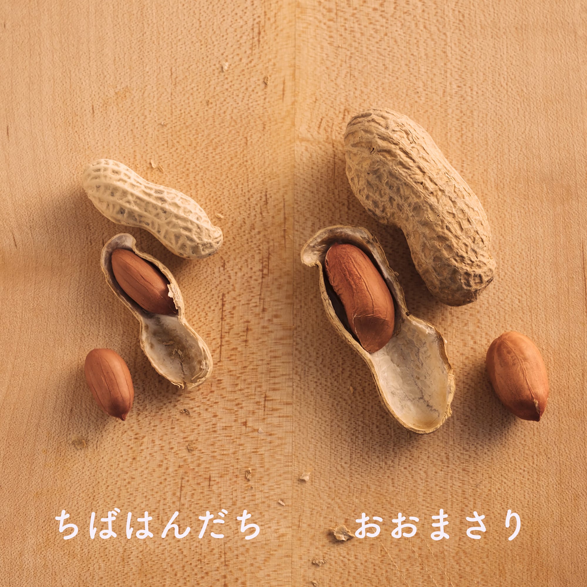 広島県 脇農園の焙煎落花生「おおまさり」 100g | 無印良品