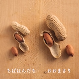 広島県　脇農園の焙煎落花生「ちばはんだち」　１００ｇ