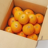 愛媛県産　増田柑園®の「樹上完熟清見オレンジ」約２．５ｋｇ