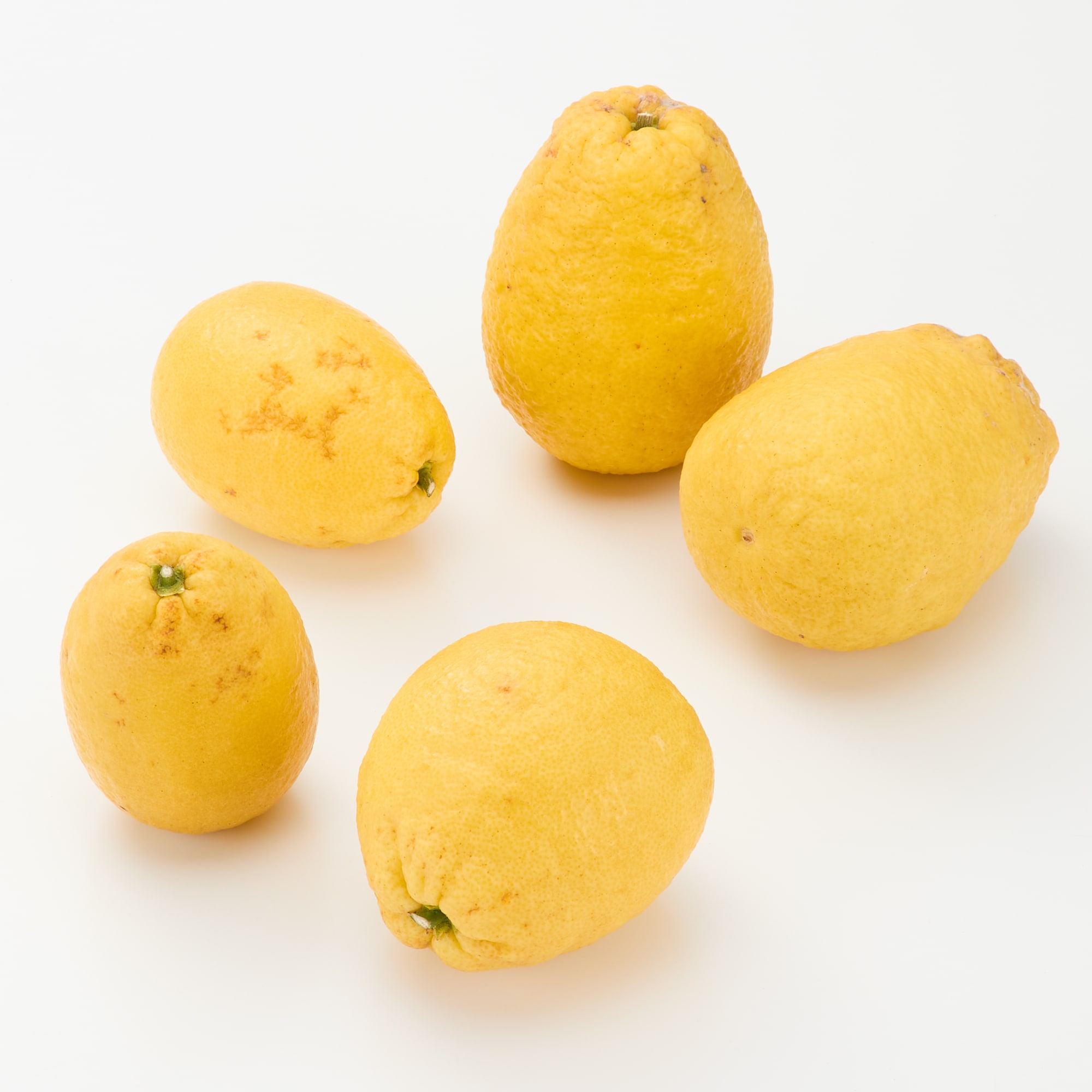 愛媛県産　田縁農園の「弓削ひょう柑」家庭用・約４ｋｇ