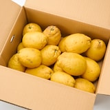 愛媛県産　田縁農園の「弓削ひょう柑」家庭用・約４ｋｇ