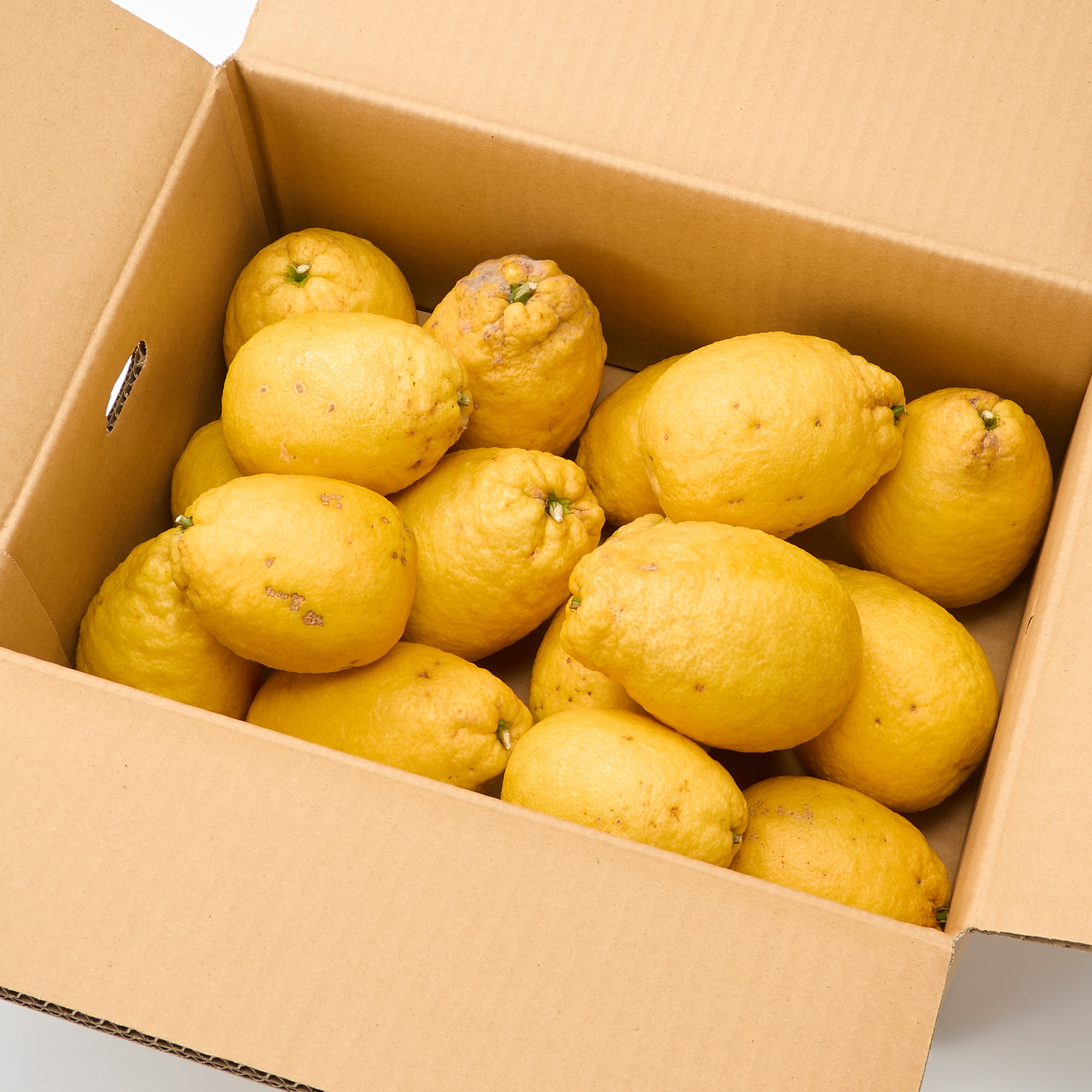 愛媛県産　田縁農園の「弓削ひょう柑」家庭用・約４ｋｇ