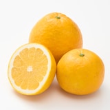 愛媛県産　田縁農園の「河内晩柑」家庭用・約４ｋｇ