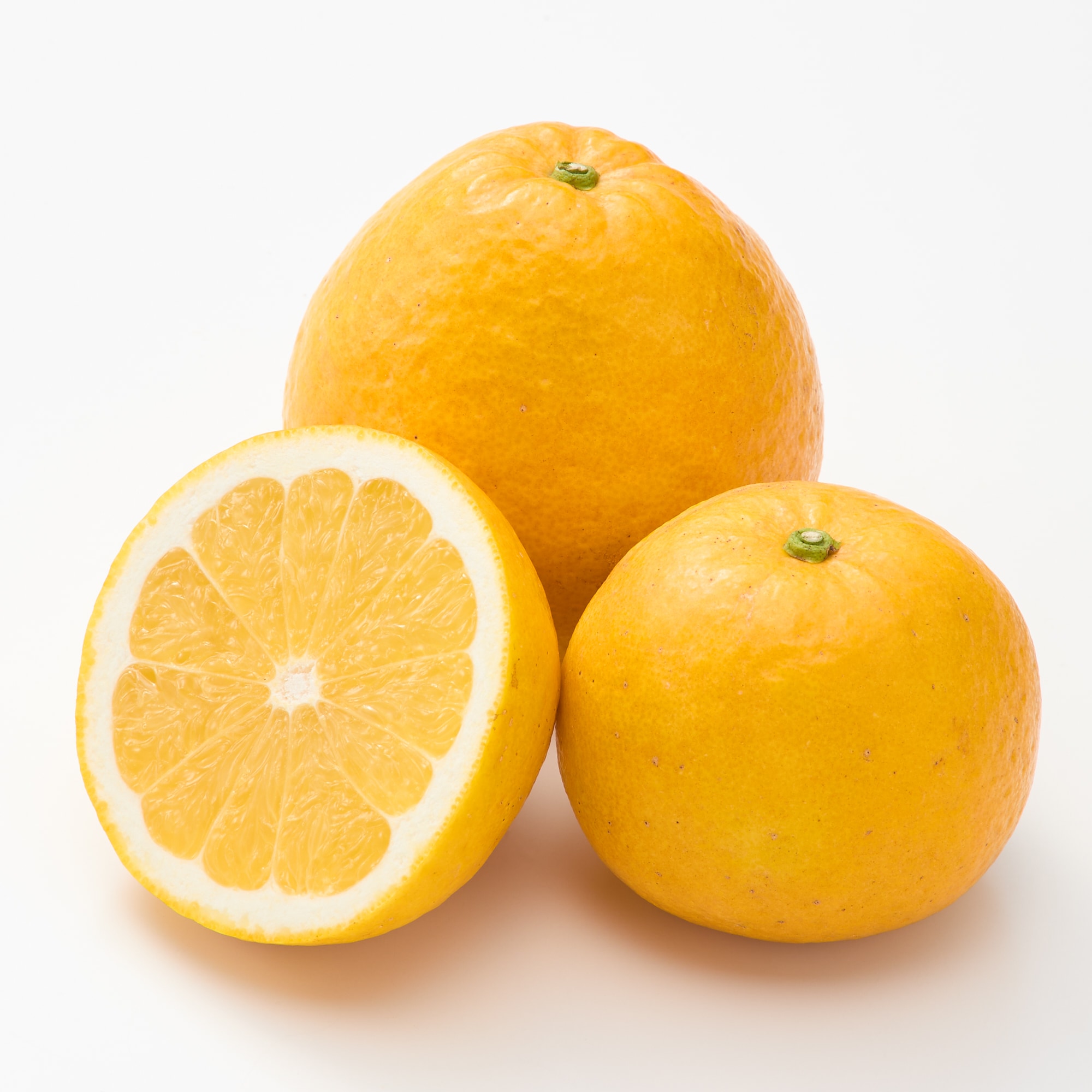 愛媛県産　田縁農園の「河内晩柑」家庭用・約４ｋｇ