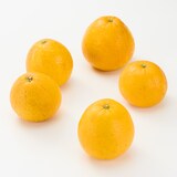 愛媛県産　田縁農園の「河内晩柑」家庭用・約４ｋｇ