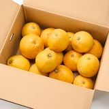 愛媛県産　田縁農園の「河内晩柑」家庭用・約４ｋｇ