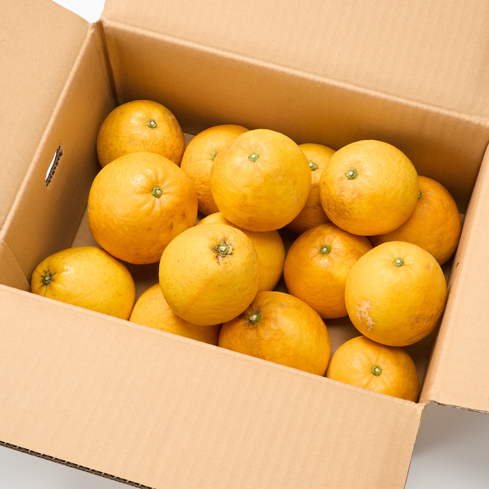 愛媛県産　田縁農園の「河内晩柑」家庭用・約４ｋｇ