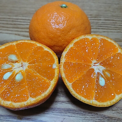 山口県周防大島産　にいうち農園の「なつみ」家庭用サイズ混合・約３ｋｇ