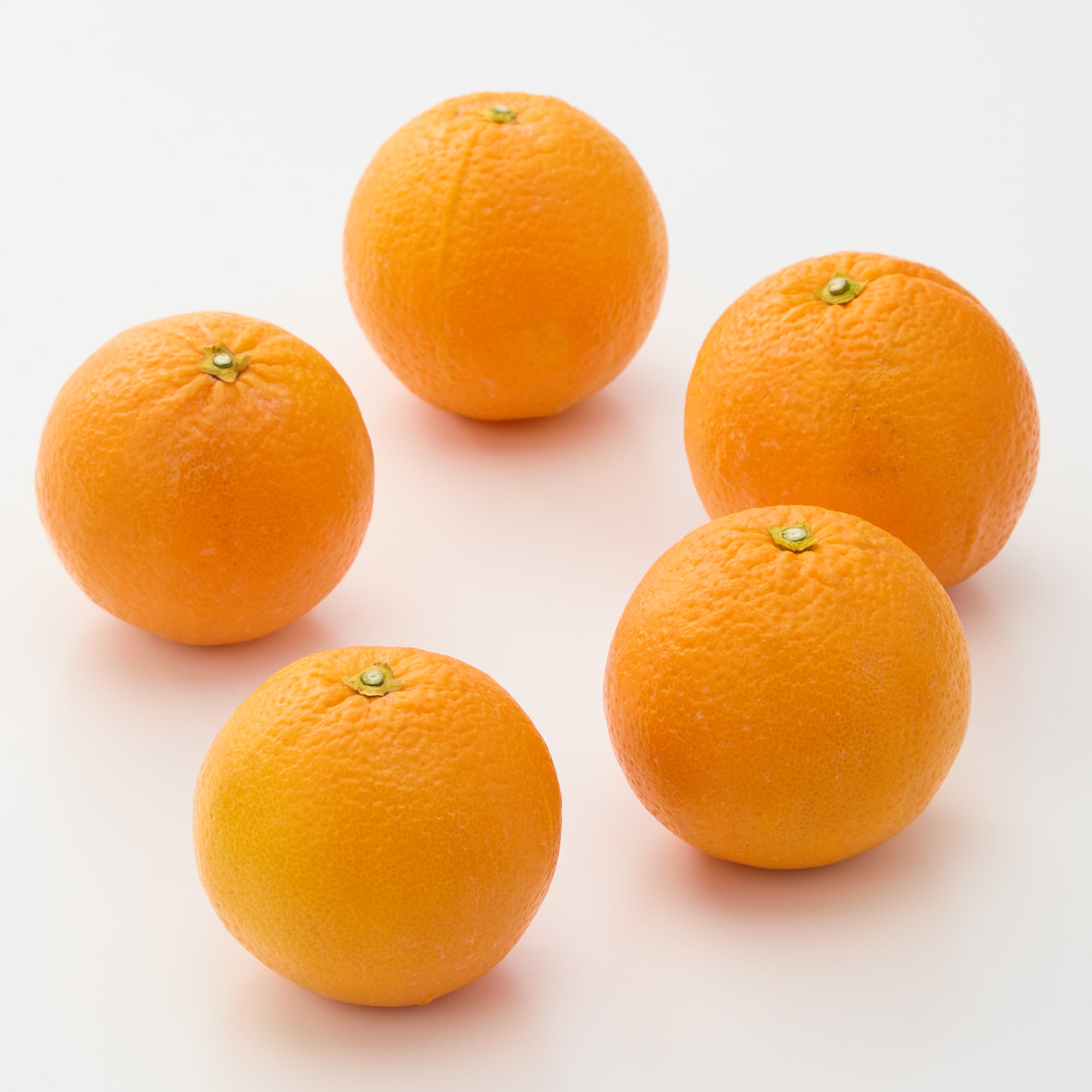 静岡県産　えなみ農園の「福原オレンジ」家庭用サイズ混合・約１ｋｇ