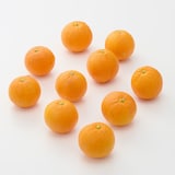 静岡県産　えなみ農園の「福原オレンジ」家庭用サイズ混合・約１ｋｇ