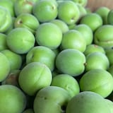 新潟県産　道の駅たがみの青梅「越の梅」 約1kg