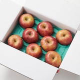 福島県産　鈴木農園の春りんご「サンふじ」　家庭用・約３ｋｇ