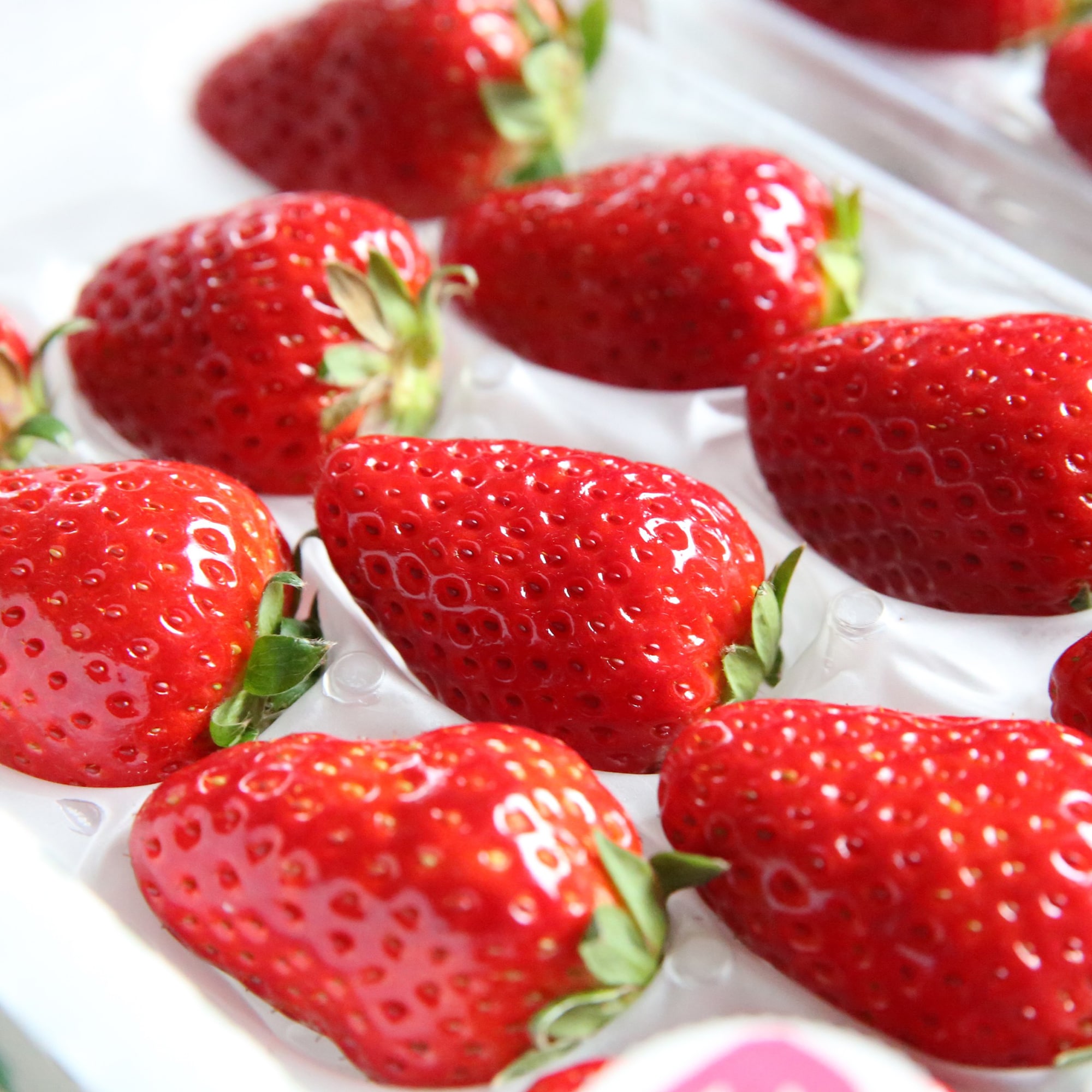 奈良県産 ６ＦＡＲＭの完熟いちご「古都華」Ｓサイズ 約５００ｇ