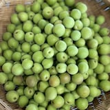 【小梅】群馬県産　木の花園の青梅「織姫」約１ｋｇ