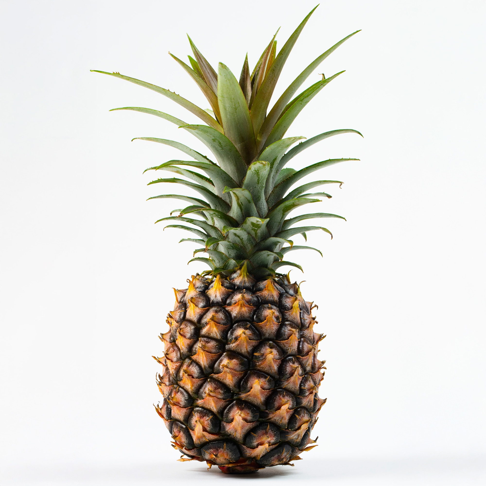 沖縄県産 長浜商店のパイナップル「ピーチパイン」 約１．５ｋｇ（２～３玉入り）