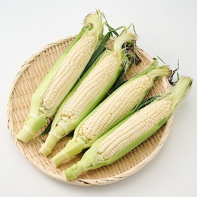 熊本県産　Ｋａｐｐｙ＆Ｆａｒｍのトウモロコシ「白い恵味」