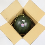 熊本県産　とみおか農園の大玉スイカ「ムーンフラッシュ」約８ｋｇ