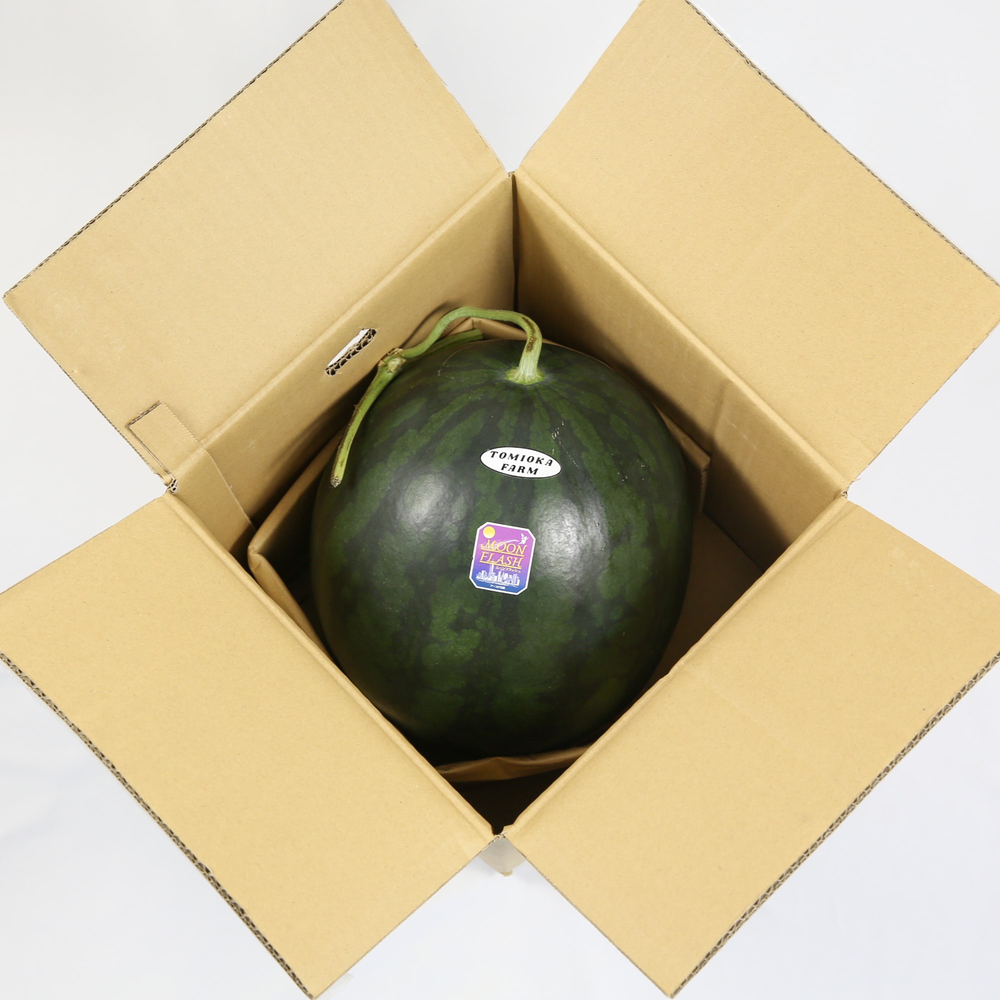 熊本県産　とみおか農園の大玉スイカ「ムーンフラッシュ」約８ｋｇ