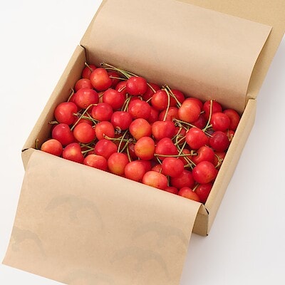 山形県産 百姓ワタナベのさくらんぼ「やまがた紅王」2Lサイズ・約450g