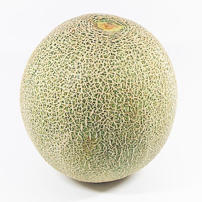 茨城県産　方波見農園の赤肉メロン「タカミレッド」　約１．２ｋｇ