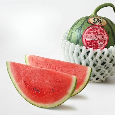 熊本県産　永井ふぁーむのスイカ　「ピノガール」（１玉約２.３ｋｇ）　