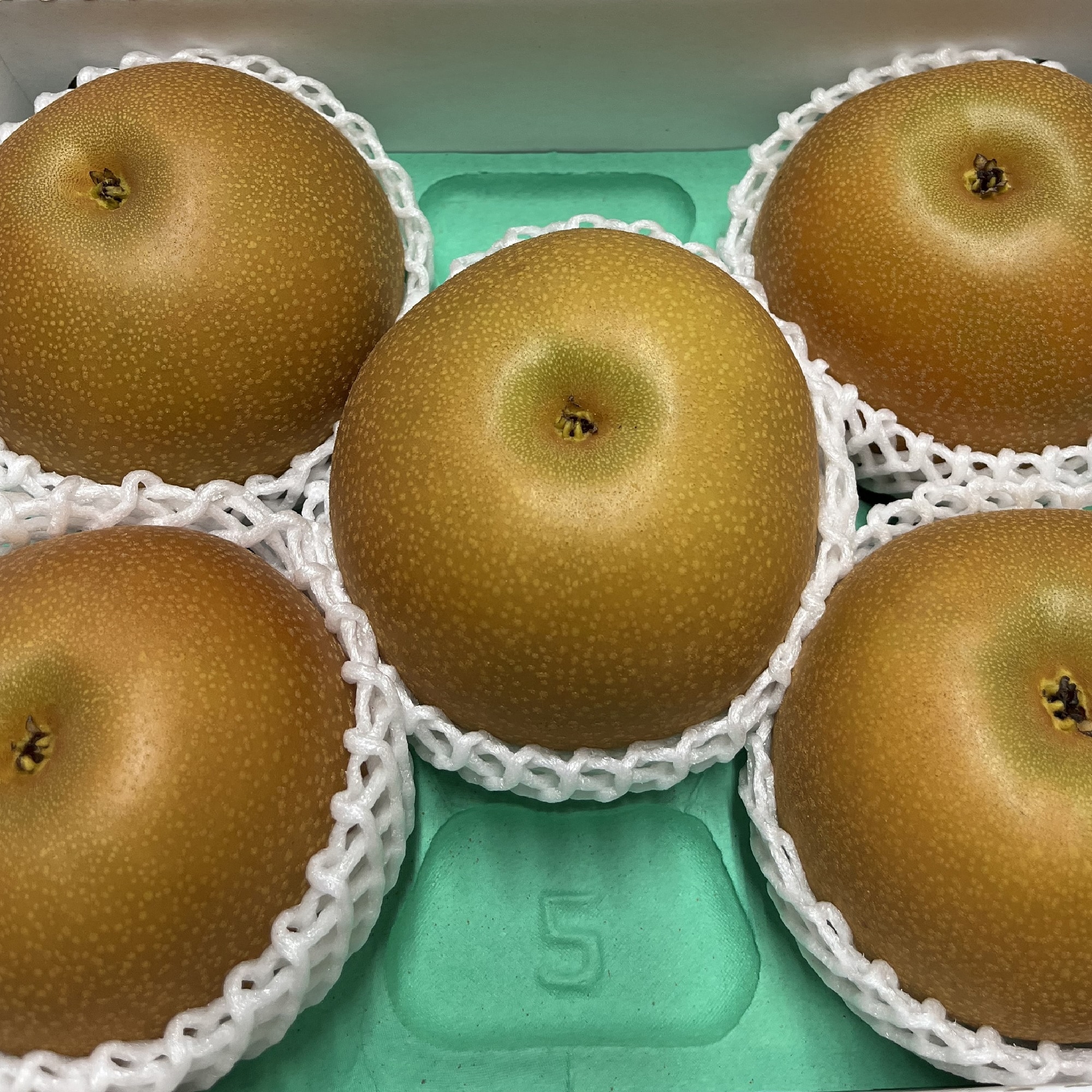 熊本県産　FRUITSGARDEN虹色の梨「あきづき」２ｋｇ