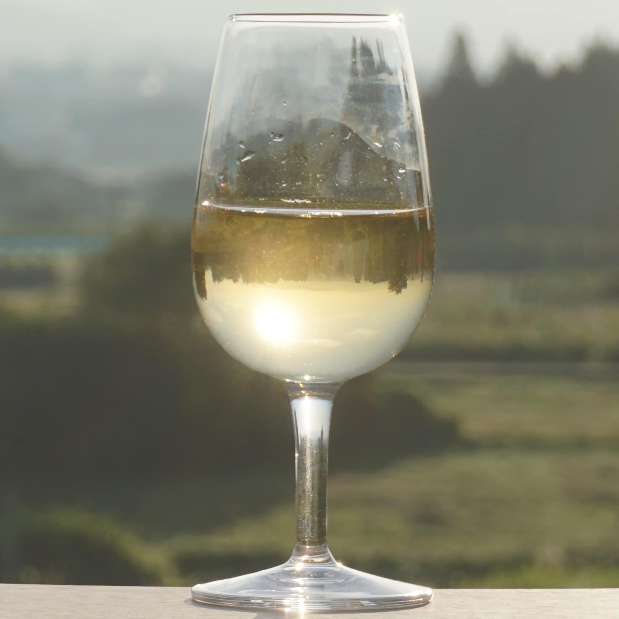 福島県 WINERY AZUMA SANROKU 新鶴シャルドネ2024 750ml